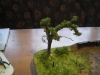 neuer Baum